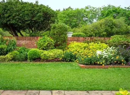 landscaping services Rio Grande